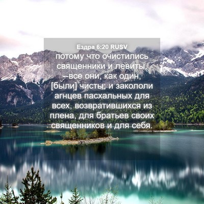 Picture 04 - Ездра 6:20 RUSV - потому что очистились - Bible Verse Picture