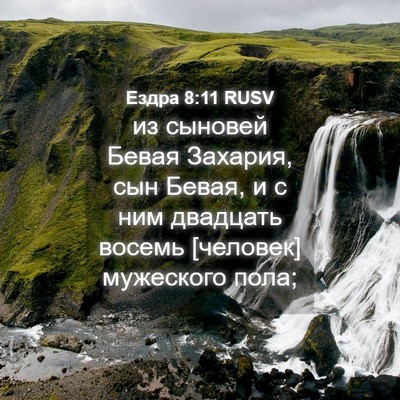 Picture 04 - Ездра 8:11 RUSV - из сыновей Бевая Захария, - Bible Verse Picture