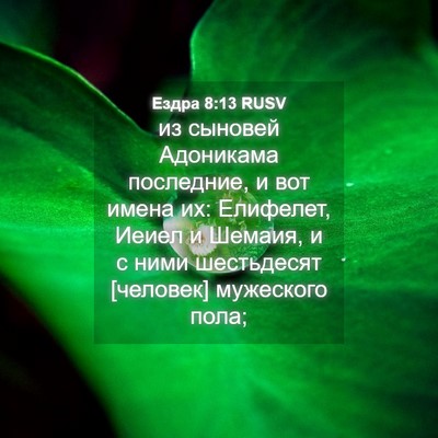 Picture 04 - Ездра 8:13 RUSV - из сыновей Адоникама - Bible Verse Picture