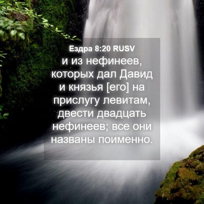 Picture 04 - Ездра 8:20 RUSV - и из нефинеев, которых дал - Bible Verse Picture