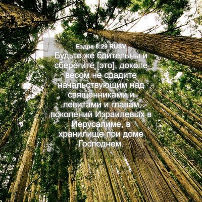 Picture 04 - Ездра 8:29 RUSV - Будьте же бдительны и - Bible Verse Picture