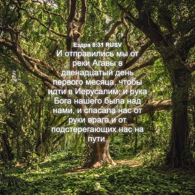 Picture 04 - Ездра 8:31 RUSV - И отправились мы от реки - Bible Verse Picture