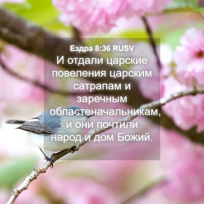 Picture 04 - Ездра 8:36 RUSV - И отдали царские повеления - Bible Verse Picture