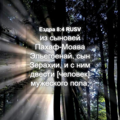 Picture 04 - Ездра 8:4 RUSV - из сыновей Пахаф-Моава - Bible Verse Picture