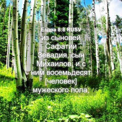 Picture 04 - Ездра 8:8 RUSV - из сыновей Сафатии - Bible Verse Picture