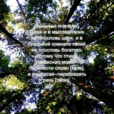Picture 04 - Екклесиаст 10:20 RUSV - Даже и в мыслях твоих не - Bible Verse Picture