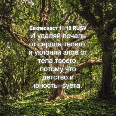 Picture 04 - Екклесиаст 11:10 RUSV - И удаляй печаль от сердца - Bible Verse Picture