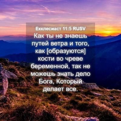 Picture 04 - Екклесиаст 11:5 RUSV - Как ты не знаешь путей - Bible Verse Picture