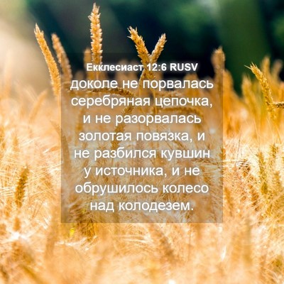 Picture 04 - Екклесиаст 12:6 RUSV - доколе не порвалась - Bible Verse Picture