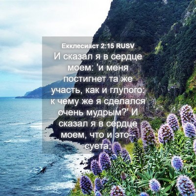 Picture 04 - Екклесиаст 2:15 RUSV - И сказал я в сердце моем: 'и - Bible Verse Picture