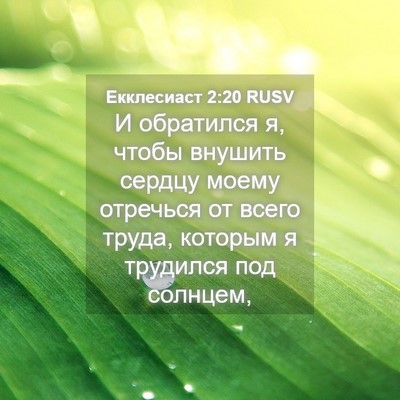 Picture 04 - Екклесиаст 2:20 RUSV - И обратился я, чтобы - Bible Verse Picture