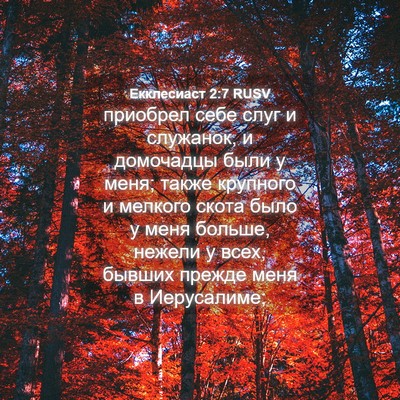Picture 04 - Екклесиаст 2:7 RUSV - приобрел себе слуг и - Bible Verse Picture
