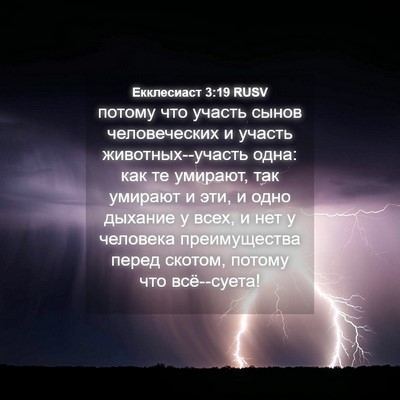 Picture 04 - Екклесиаст 3:19 RUSV - потому что участь сынов - Bible Verse Picture
