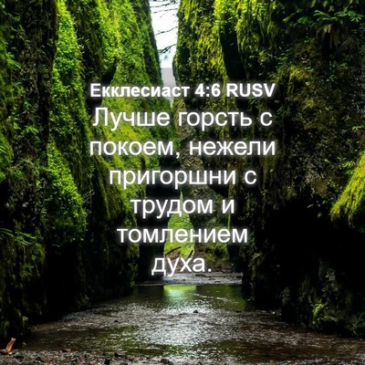 Picture 04 - Екклесиаст 4:6 RUSV - Лучше горсть с покоем, - Bible Verse Picture