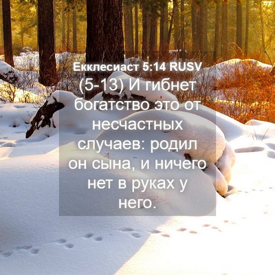 Picture 04 - Екклесиаст 5:14 RUSV - (5-13) И гибнет богатство это - Bible Verse Picture