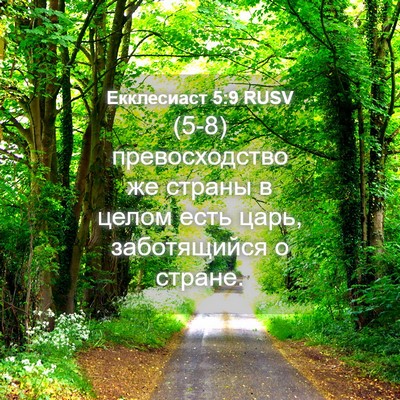 Picture 04 - Екклесиаст 5:9 RUSV - (5-8) превосходство же - Bible Verse Picture