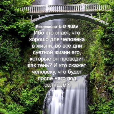 Picture 04 - Екклесиаст 6:12 RUSV - Ибо кто знает, что хорошо - Bible Verse Picture