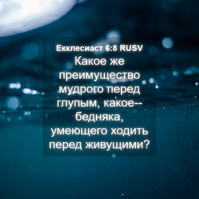 Picture 04 - Екклесиаст 6:8 RUSV - Какое же преимущество - Bible Verse Picture