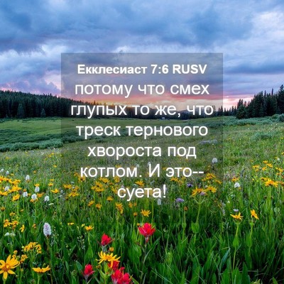 Picture 04 - Екклесиаст 7:6 RUSV - потому что смех глупых то - Bible Verse Picture