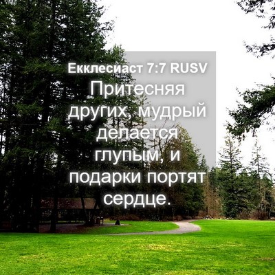 Picture 04 - Екклесиаст 7:7 RUSV - Притесняя других, мудрый - Bible Verse Picture