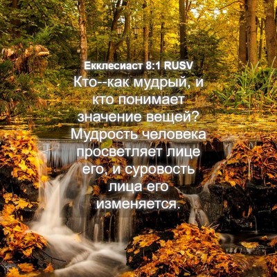 Picture 04 - Екклесиаст 8:1 RUSV - Кто--как мудрый, и кто - Bible Verse Picture