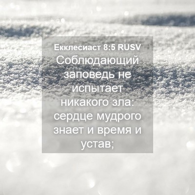 Picture 04 - Екклесиаст 8:5 RUSV - Соблюдающий заповедь не - Bible Verse Picture