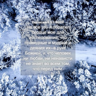Picture 04 - Екклесиаст 9:1 RUSV - На все это я обратил сердце - Bible Verse Picture