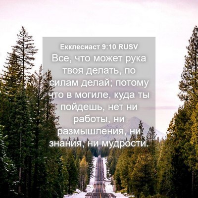 Picture 04 - Екклесиаст 9:10 RUSV - Все, что может рука твоя - Bible Verse Picture