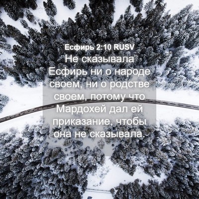 Picture 04 - Есфирь 2:10 RUSV - Не сказывала Есфирь ни о - Bible Verse Picture