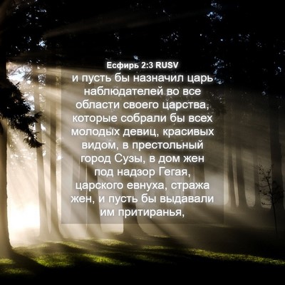 Picture 04 - Есфирь 2:3 RUSV - и пусть бы назначил царь - Bible Verse Picture