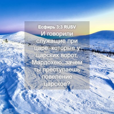 Picture 04 - Есфирь 3:3 RUSV - И говорили служащие при - Bible Verse Picture