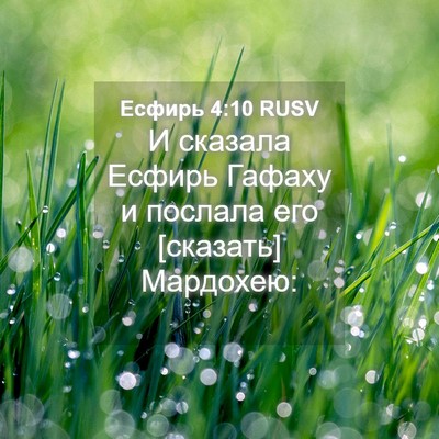 Picture 04 - Есфирь 4:10 RUSV - И сказала Есфирь Гафаху и - Bible Verse Picture