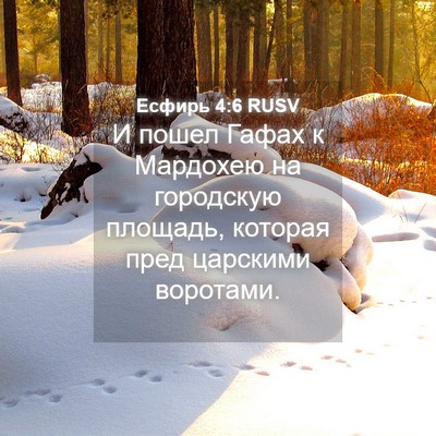 Picture 04 - Есфирь 4:6 RUSV - И пошел Гафах к Мардохею на - Bible Verse Picture