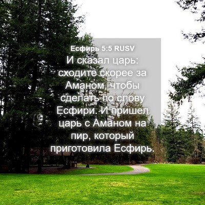 Picture 04 - Есфирь 5:5 RUSV - И сказал царь: сходите - Bible Verse Picture