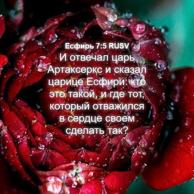 Picture 04 - Есфирь 7:5 RUSV - И отвечал царь Артаксеркс - Bible Verse Picture