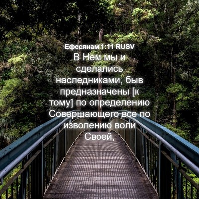Picture 04 - Ефесянам 1:11 RUSV - В Нем мы и сделались - Bible Verse Picture