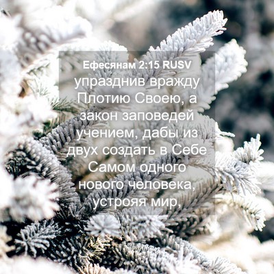 Picture 04 - Ефесянам 2:15 RUSV - упразднив вражду Плотию - Bible Verse Picture