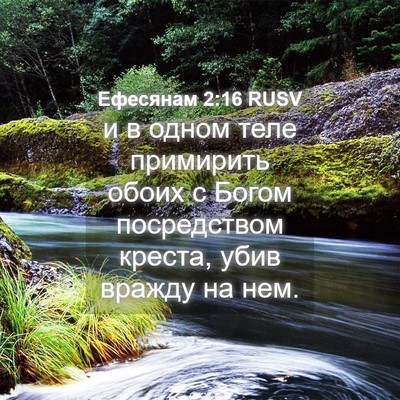 Picture 04 - Ефесянам 2:16 RUSV - и в одном теле примирить - Bible Verse Picture
