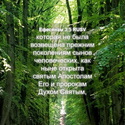 Picture 04 - Ефесянам 3:5 RUSV - которая не была возвещена - Bible Verse Picture