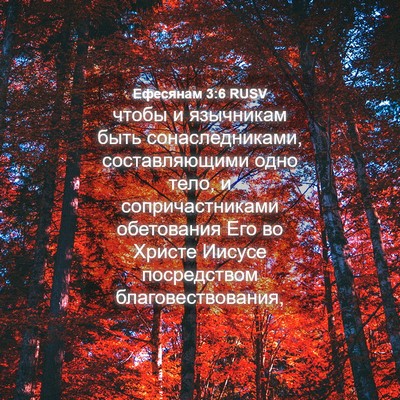 Picture 04 - Ефесянам 3:6 RUSV - чтобы и язычникам быть - Bible Verse Picture