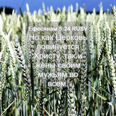 Picture 04 - Ефесянам 5:24 RUSV - Но как Церковь повинуется - Bible Verse Picture