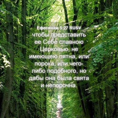 Picture 04 - Ефесянам 5:27 RUSV - чтобы представить ее Себе - Bible Verse Picture