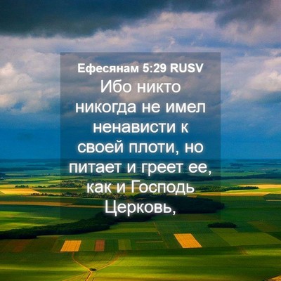 Picture 04 - Ефесянам 5:29 RUSV - Ибо никто никогда не имел - Bible Verse Picture