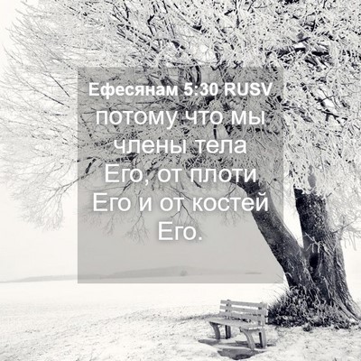 Picture 04 - Ефесянам 5:30 RUSV - потому что мы члены тела - Bible Verse Picture