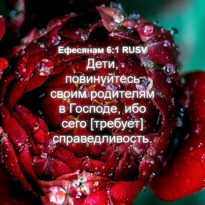 Picture 04 - Ефесянам 6:1 RUSV - Дети, повинуйтесь своим - Bible Verse Picture