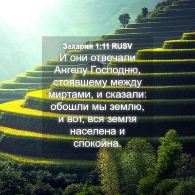 Picture 04 - Захария 1:11 RUSV - И они отвечали Ангелу - Bible Verse Picture