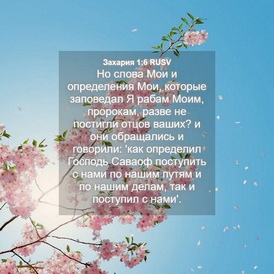 Picture 04 - Захария 1:6 RUSV - Но слова Мои и определения - Bible Verse Picture
