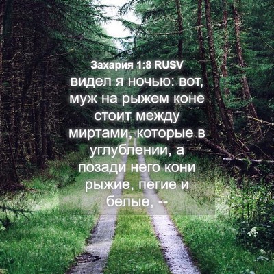Picture 04 - Захария 1:8 RUSV - видел я ночью: вот, муж на - Bible Verse Picture