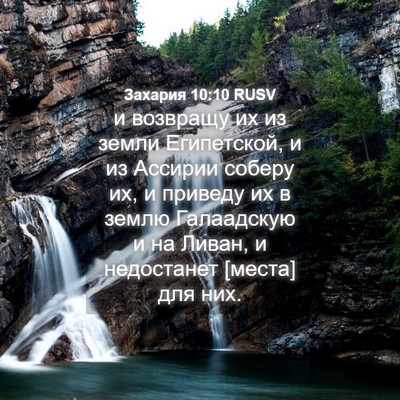 Picture 04 - Захария 10:10 RUSV - и возвращу их из земли - Bible Verse Picture
