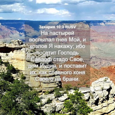 Picture 04 - Захария 10:3 RUSV - На пастырей воспылал гнев - Bible Verse Picture